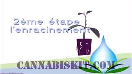 Armoire à cultiver du cannabis: CannabisKit.com