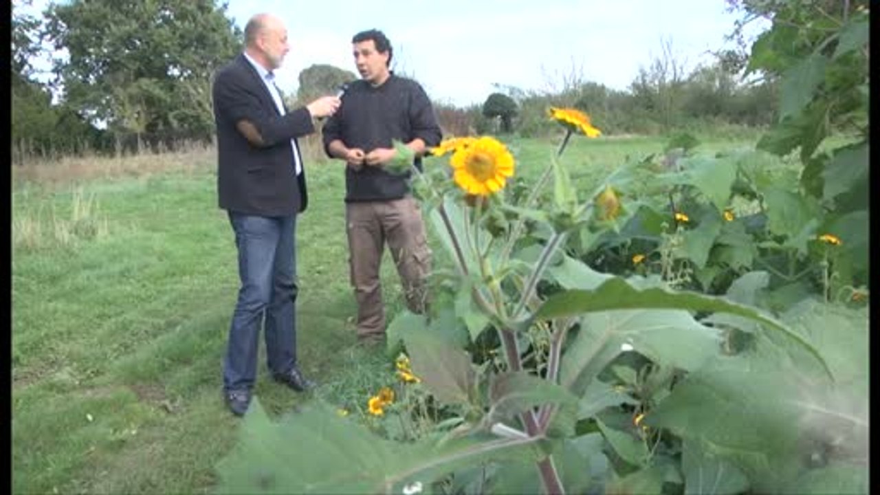 100% Sarthe dans le Jardin du chef Alain Passard à Fillé (2/2)