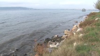 Denizi Kirlettiği İddia Edilen Firmaya 126 Bin Lira Ceza