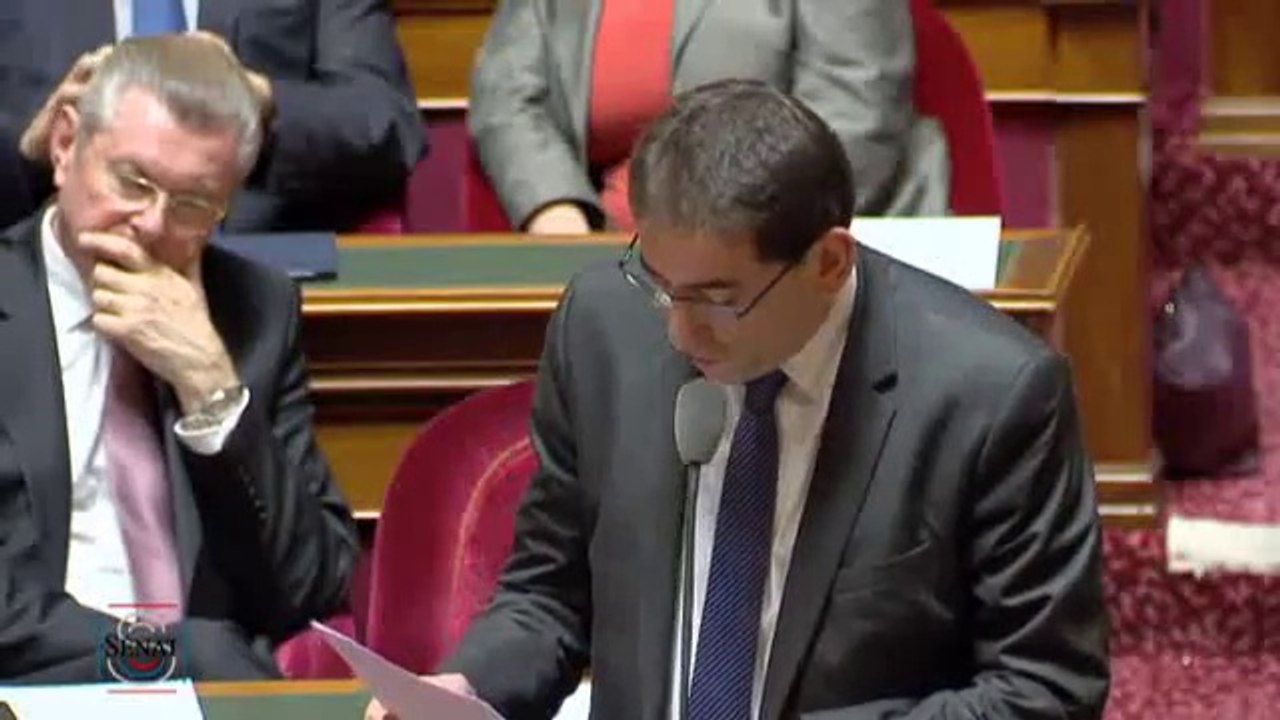 Didier Mandelli - Professions réglementées