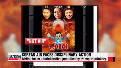 Transport ministry announces findings over 'nut rage' incident