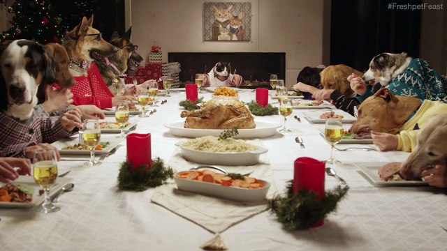 13 chiens et 1 chat font un repas de Noël