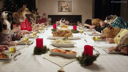 13 chiens et 1 chat font un repas de Noël