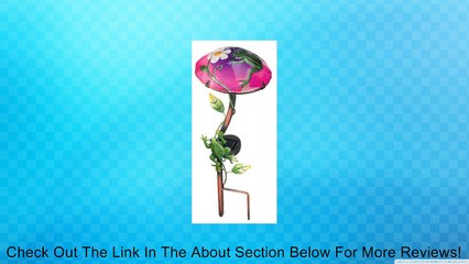 Regal Art and Gift Solar Mushroom Stake Frog No.10343 Garden Decor Review