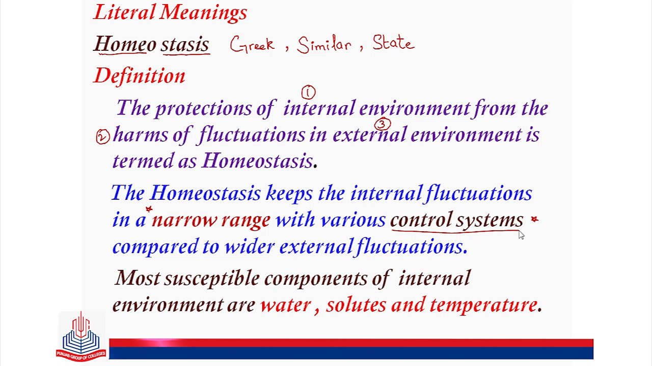 Concepts In Homeostasis (i)