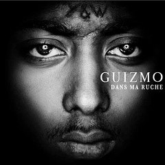 Guizmo Dans 10 Ans Dans Ma Ruche Telecharger Album Inedit HQ