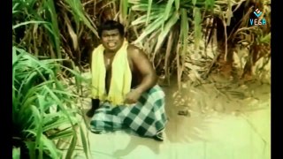 Senthil Back to Back Comedy Collection : Best Comedy Scenes of Kollywood