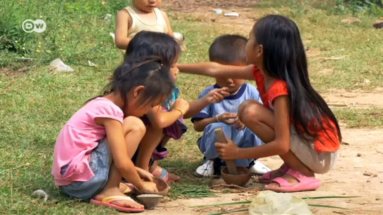 Laos  - das Überleben der Elefanten | Global 3000