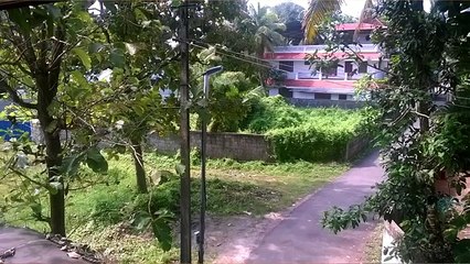 Microsoft Lumia 535 Camera Review