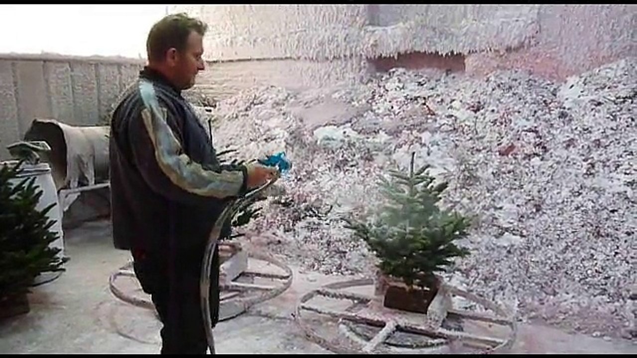 sapins de noel