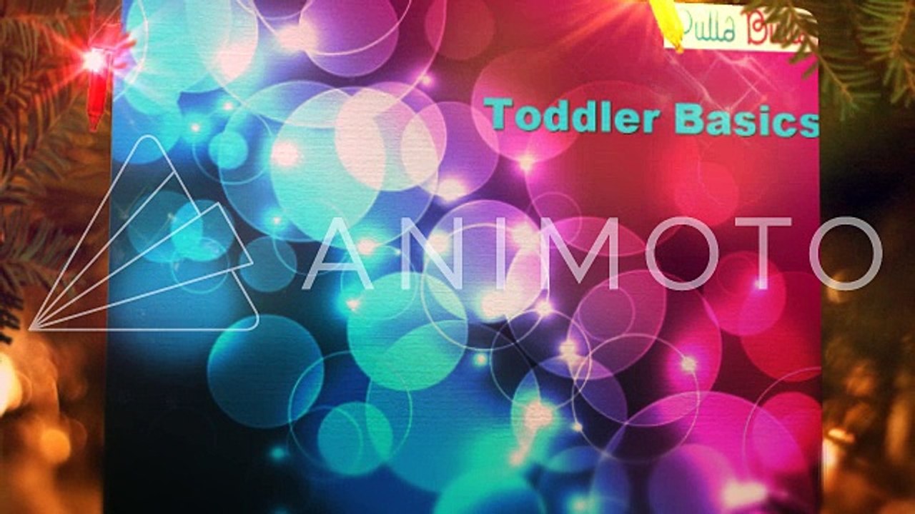Toddler Basics