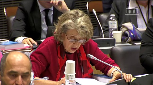 Audition devant la Commission spéciale de l'Assemblée Nationale autour de la loi activité