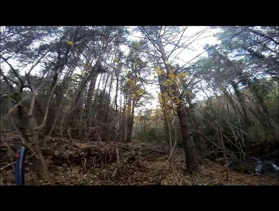 chasse à la bécasse en montagne à Aiglun (06)