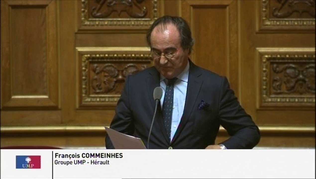 Conseils d'architecture, d'urbanisme et d'environnement : " Le rôle économique et le lien institutionnel fort entre CAUE et les territoires doit être défendu "