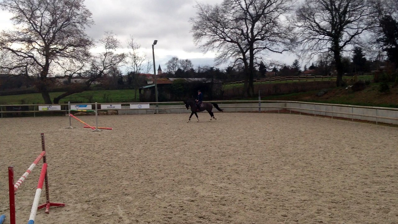 VIDOCQ D'AINCANTAL 5 ans