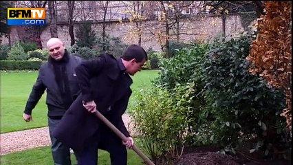 Valls plante un arbre à Matignon qui va "prendre de la hauteur"