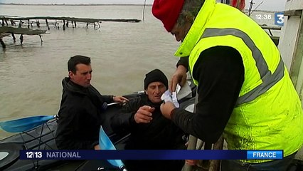 VIDÉO. La lutte contre le vol des huîtres