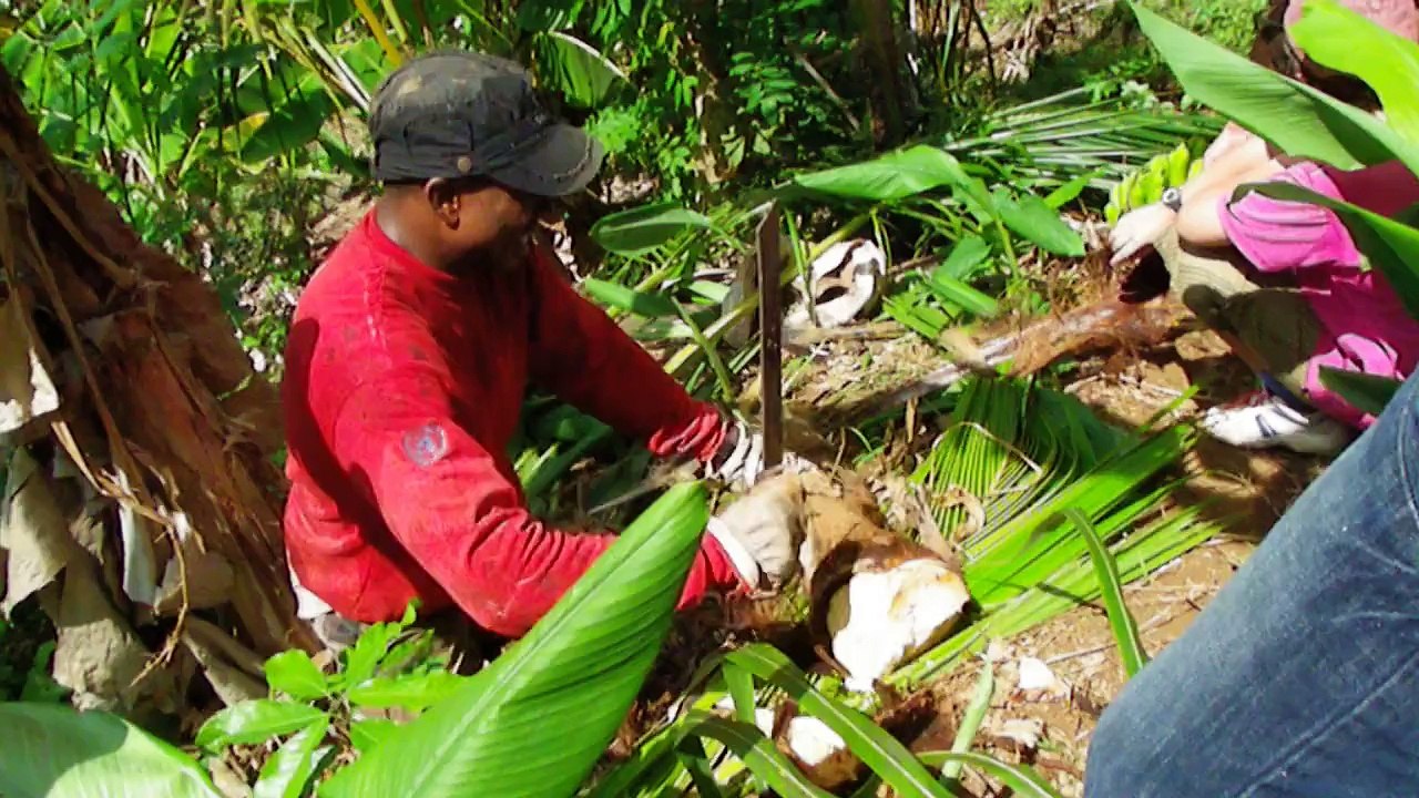 Les Cabanons à Mayotte
