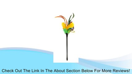 Multipet Tickle Your Fancy Feather Wand Cat Teasers, 23-Inch Review