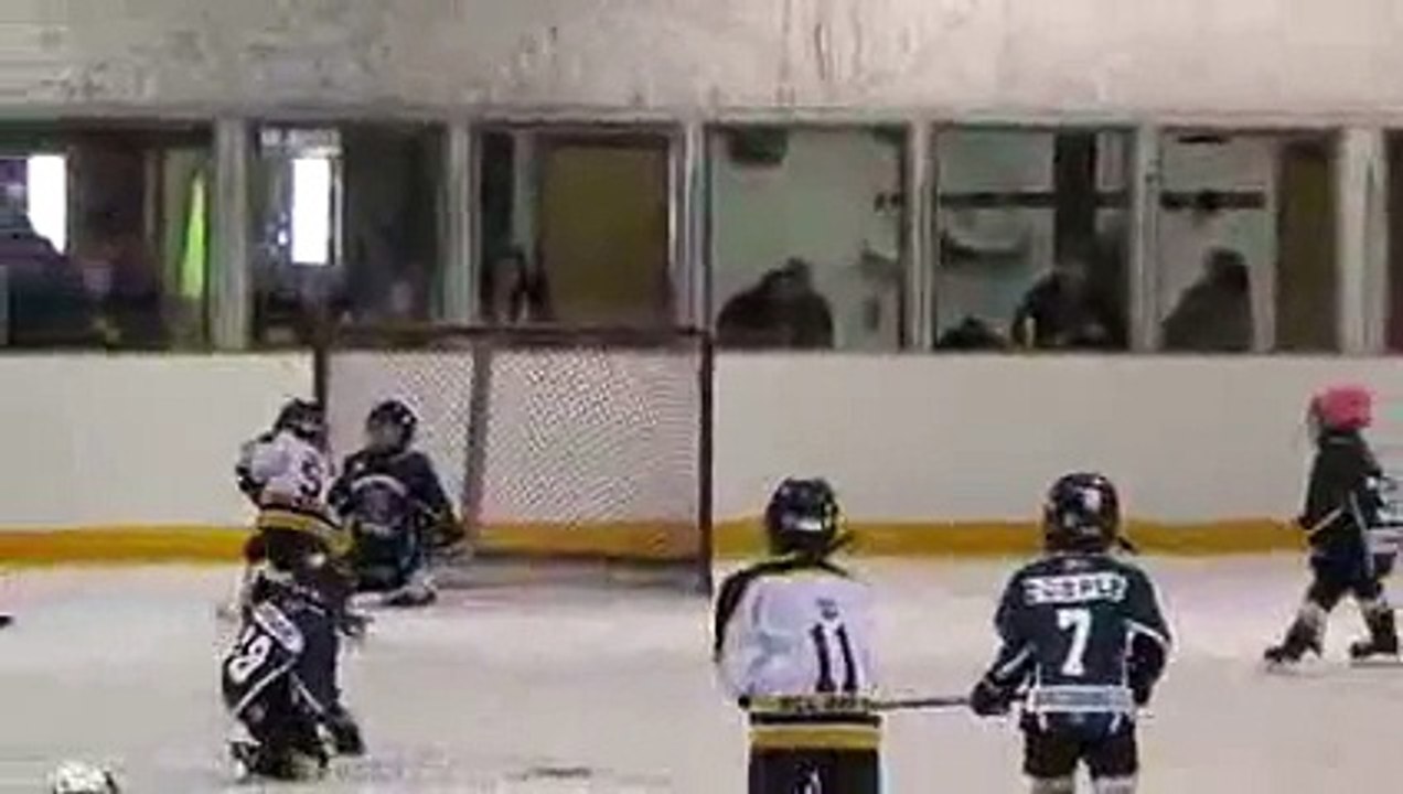 Un peu de douceur dans un monde brutes au hockey sur glace