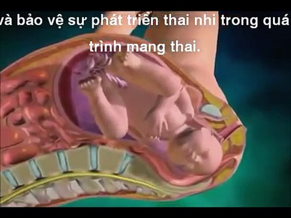 How a baby born