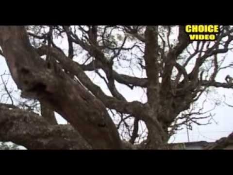 Mayapur Darshan | Ganga Sagar Ebam Char Dham Yatra | Iskcon | Choice