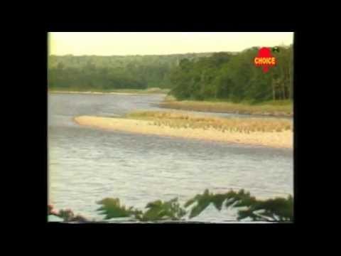 Sharda Maa Bhajan | Tora Dekhbhi Jodi Aay | Jai Janani Sharda | Choice