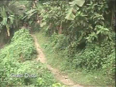 Bengali Modern Folk Song | Mokor Melay Madan Chora | Gold Disc