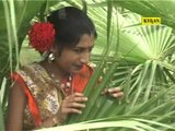 Bangla Palli Geeti | Aar Kato Jalabi | Bengali Lok Geeti | Bengali Video Songs