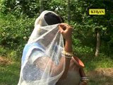 Latest Bengali Devotional Song | Kalar Baanshi Sune Radha | Bangla Bhakti Geet | Kiran