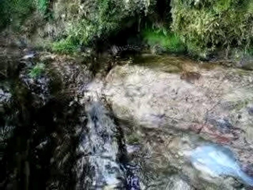 Source en Auvergne Font Bleix