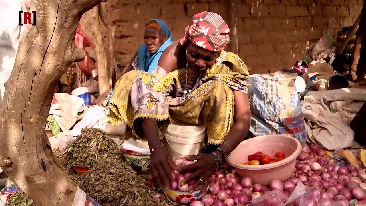 Réussite : Mlouma, une plateforme web au service des producteurs agricoles