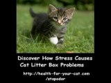 End Cat Urine Odors Now!