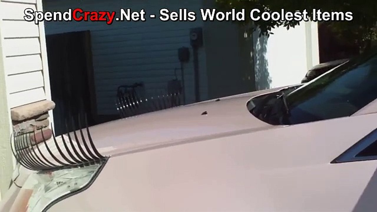 Car Eyelashes