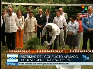 Emotiva ceremonia del "árbol de la esperanza" para Colombia