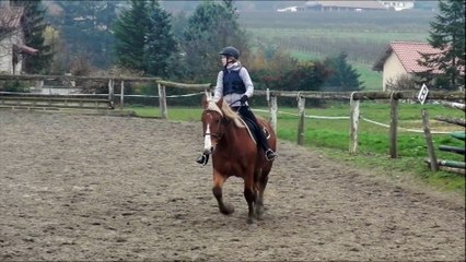 Viking travail sur le plat, impulsion au trot