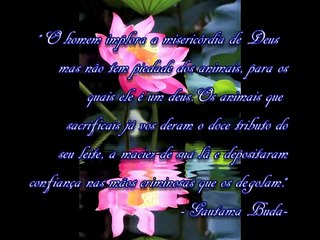 Filosofia Vegetariana e o Pensamento Budista