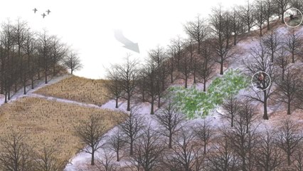 Tip of the Week: Hunt a South Slope