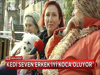 Veteriner tavsiyesi Kedi Seven Erkek İyi Koca Oluyormuş