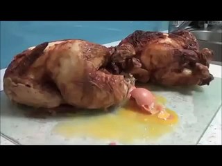 How to Make Chicken Nuggets in Forward And Reverse