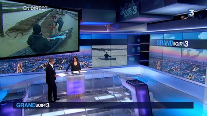 VIDÉO. Des huîtres protégées par des gendarmes