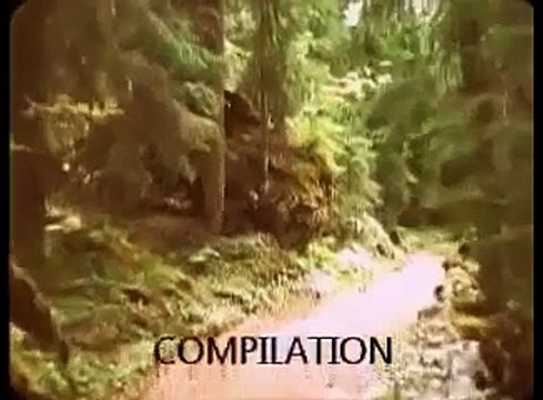 ★ BIGFOOT BEST EVIDENCE 2014 100% REAL FOOTAGE SASQUATCH YETI SIGHTINGS 3 7