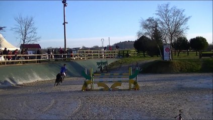 Ecuries Julie Le Guern: Shutterfly de Beausse