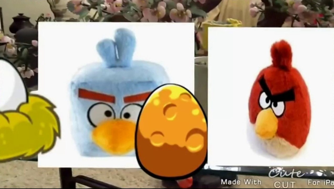 Angry Birds Crazy Amazing Adventures: Space Birds