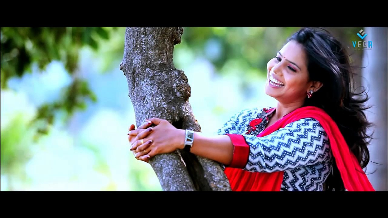 Satyam Vaipu Margamu Movie : Trailer : Latest Telugu Movie Trailer 2014