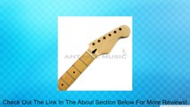 Mighty Mite Electric Guitar Neck - Strat Compound Radius - Maple - Fender LIC Review