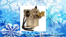 Ezgo golf cart carburetor 1991-up 295CC.  FREE SHIPPING LOWER 48 US STATES Review