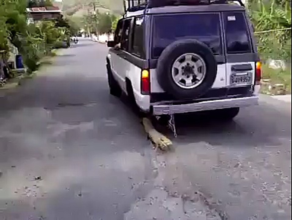 Il a crevé sa roue, mais heureusement il touche du bois !