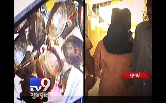 Man caught smuggling turtles in Mumbai - Tv9 Gujarati