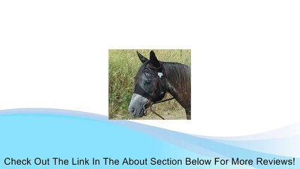 Cashel Quiet Ride Riding Fly Mask with Ears Draft Horse Size Review